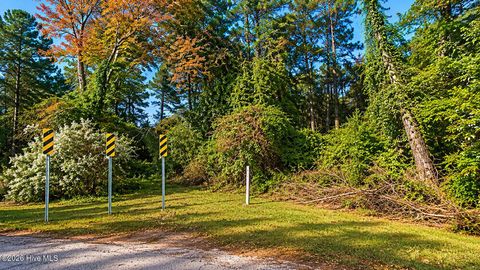 Tiny photo for Tbd Linda Lane, Burgaw, NC 28425 (MLS # 100576876)