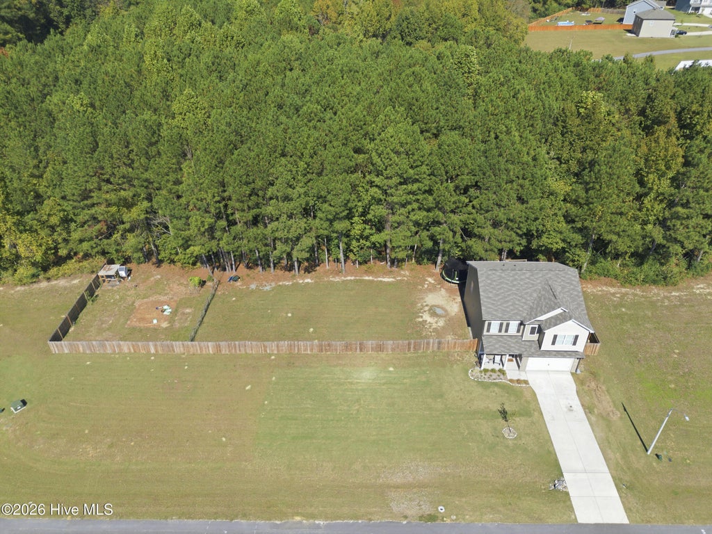 Photo of 98 Baneberry Place, Broadway, NC 27505 (MLS # 100611674)