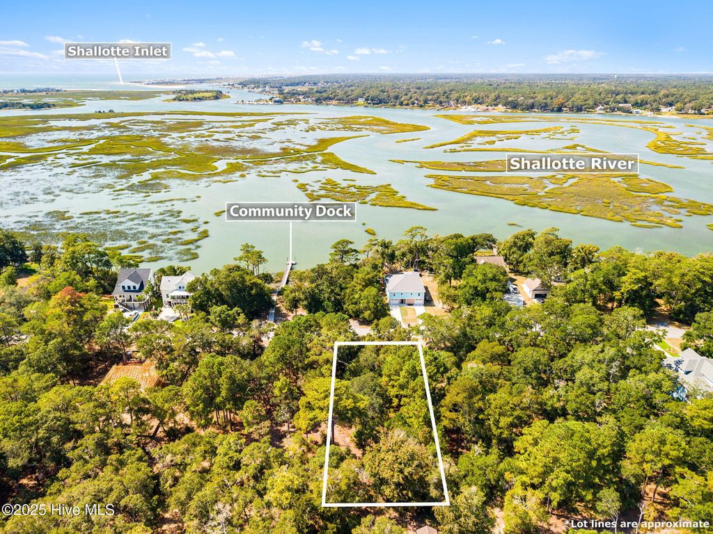 Photo of 1834 Russell Hewett Road SW, Supply, NC 28462 (MLS # 100533343)