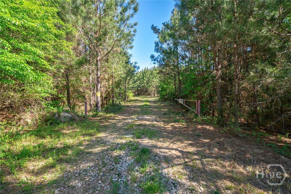 Photo of 0 Brewer's Bridge Road, Elberton, GA 30635 (MLS # CL354783)