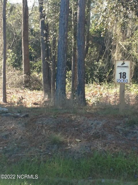 Tiny photo for 113 Holly Berry Court, Wilmington, NC 28401 (MLS # 100555528)