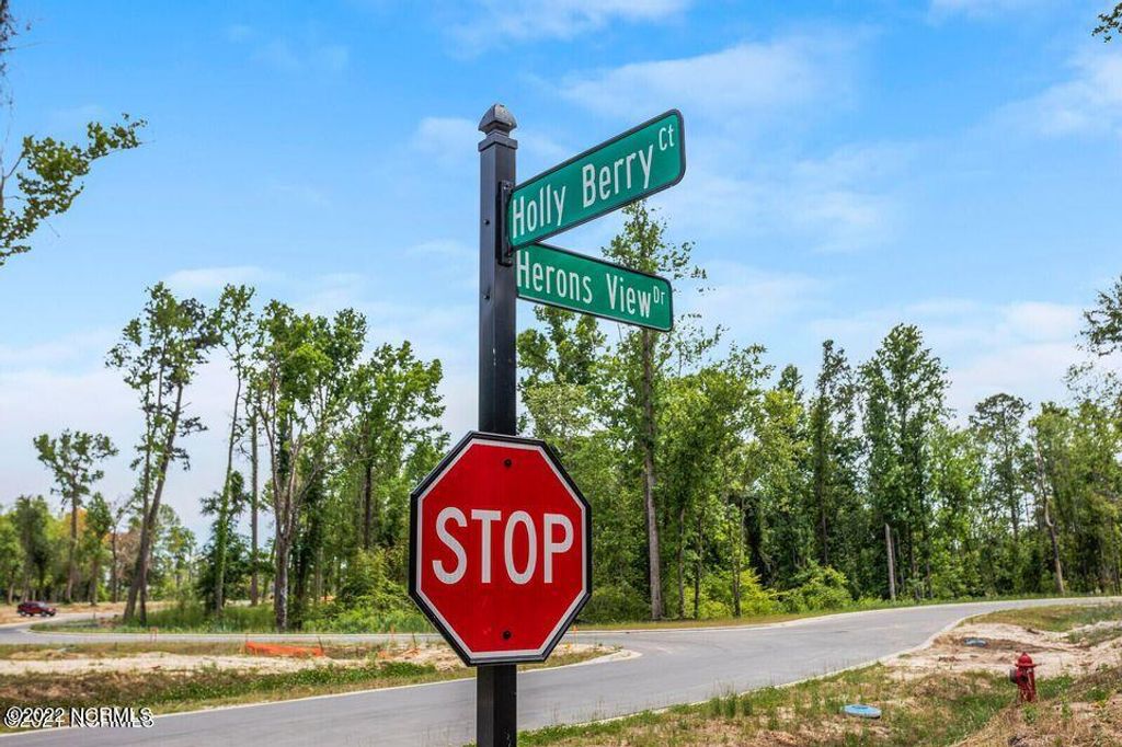 Photo of 113 Holly Berry Court, Wilmington, NC 28401 (MLS # 100555528)