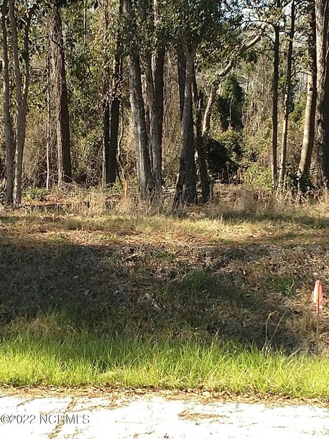 Tiny photo for 113 Holly Berry Court, Wilmington, NC 28401 (MLS # 100555528)