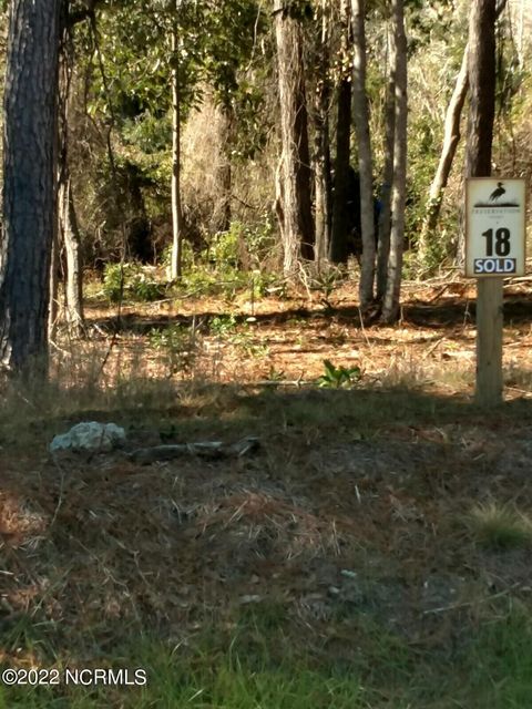 Tiny photo for 113 Holly Berry Court, Wilmington, NC 28401 (MLS # 100555528)