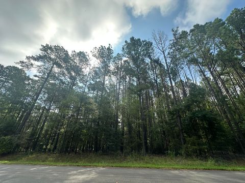 Vacant Land For Sale - LOT 1 Dogwood Lane<br/> Mccormick County, Parksville, SC 29845
