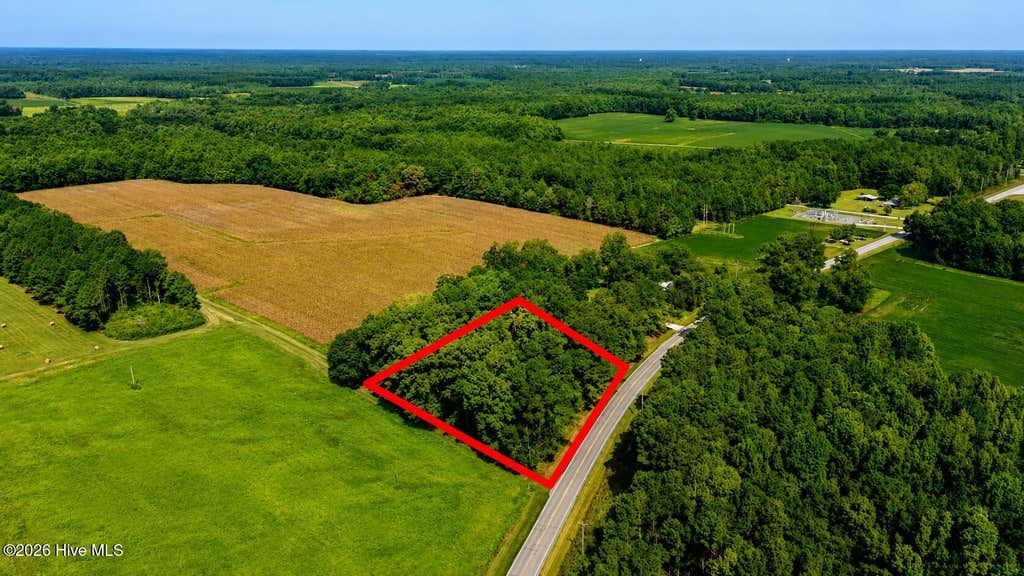 Photo of 0 Swamp Fox Highway W, Cerro Gordo, NC 28430 (MLS # 100598213)