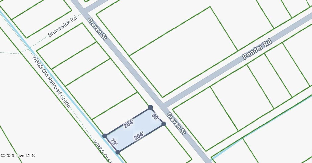 Photo of 490 Craven Street, Boiling Spring Lakes, NC 28461 (MLS # 100555532)