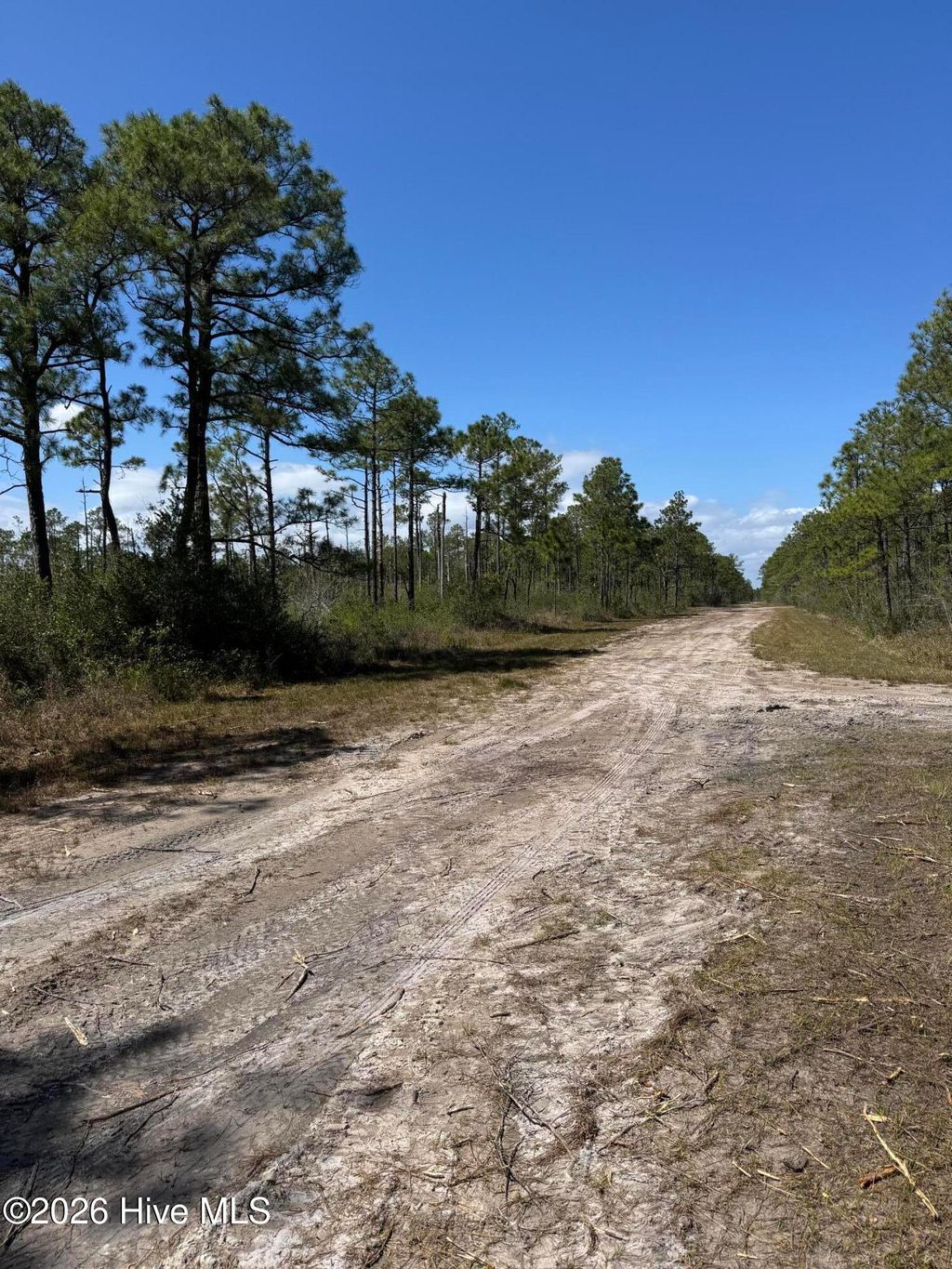 Photo of 490 Craven Street, Boiling Spring Lakes, NC 28461 (MLS # 100555532)