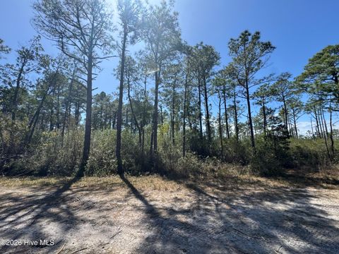 Vacant Land For Sale - LOT 490 Craven Street<br/> Boiling Spring Lakes, NC 28461