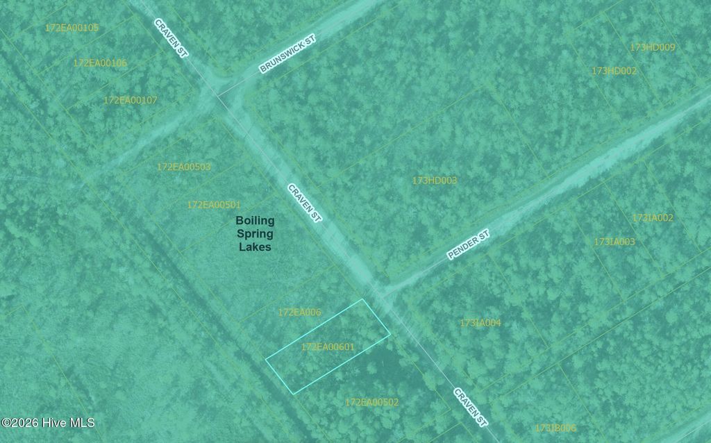 Photo of 490 Craven Street, Boiling Spring Lakes, NC 28461 (MLS # 100555532)