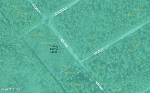 Photo of 490 Craven Street, Boiling Spring Lakes, NC 28461 (MLS # 100555532)