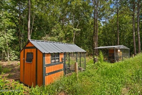 Tiny photo for 111 Cirrus Court, Hampstead, NC 28443 (MLS # 100555595)