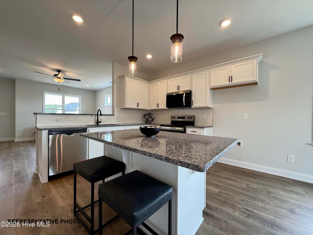 Photo of 150 Cardovia Way, Wendell, NC 27591 (MLS # 100596354)