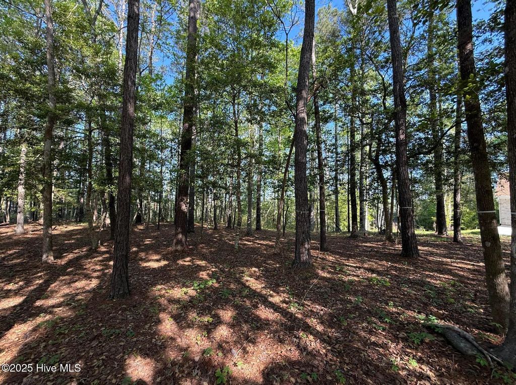 Photo of 723 Sonata Drive SE, Bolivia, NC 28422 (MLS # 100501798)
