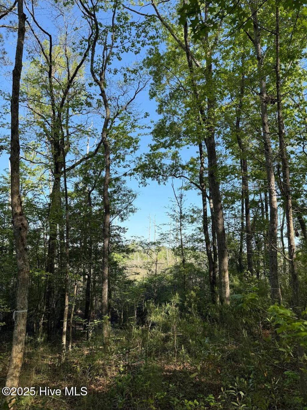 Photo of 723 Sonata Drive SE, Bolivia, NC 28422 (MLS # 100501798)