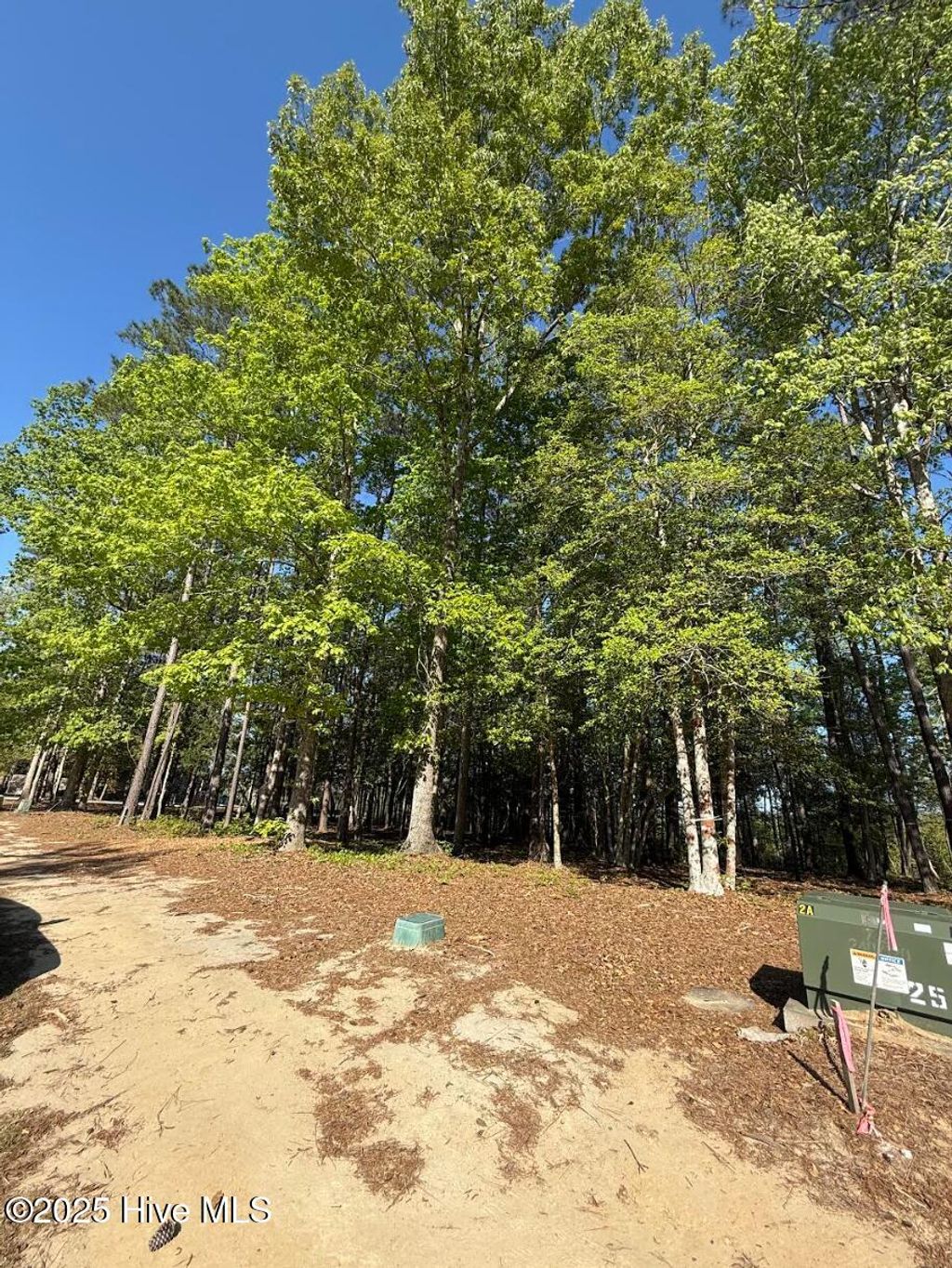 Photo of 723 Sonata Drive SE, Bolivia, NC 28422 (MLS # 100501798)