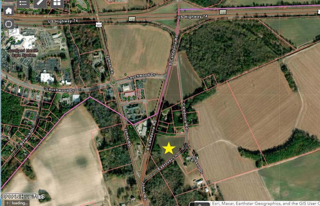 Photo of Tbd S Caledonia Road, Laurinburg, NC 28352 (MLS # 100592234)