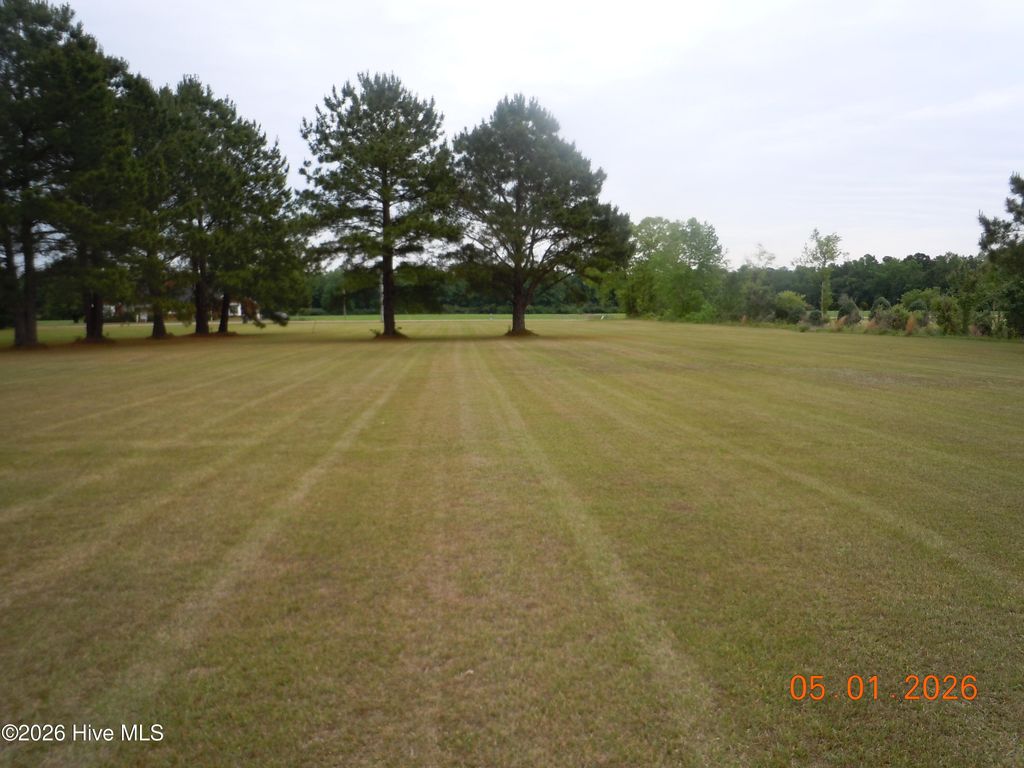 Photo of 156 Colonial Drive, Tabor City, NC 28463 (MLS # 100571068)
