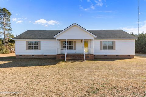 Photo of 254 Gaston Drive, Bladenboro, NC 28320 (MLS # 100562132)