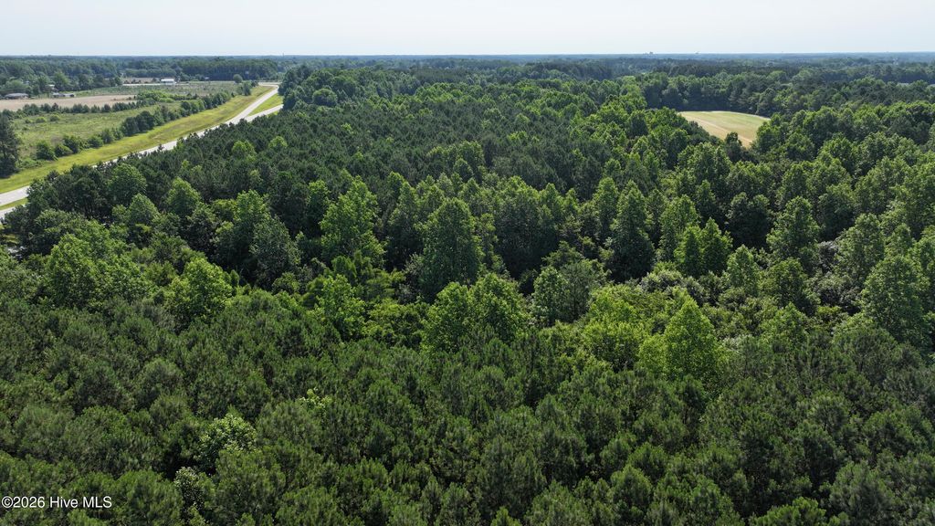 Photo of 00 Cooper Branch Road, Clayton, NC 27520 (MLS # 100547659)