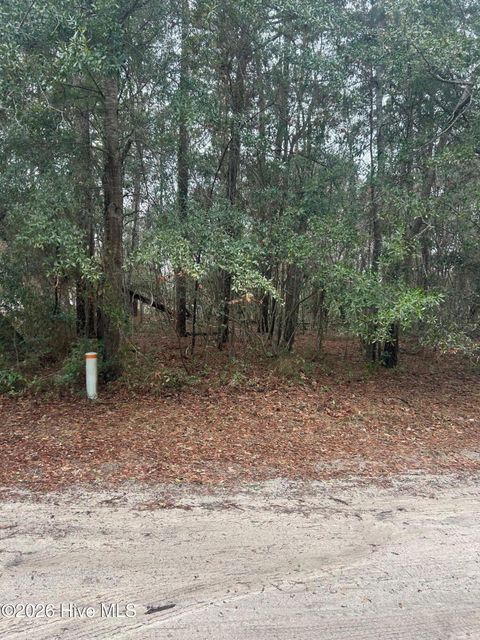 Photo of 103 Dogwood Lane, Sneads Ferry, NC 28460 (MLS # 100552982)