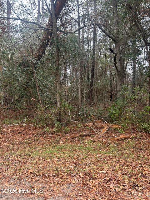 Tiny photo for 103 Dogwood Lane, Sneads Ferry, NC 28460 (MLS # 100552982)