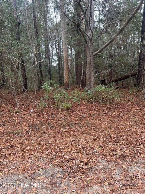 Tiny photo for 103 Dogwood Lane, Sneads Ferry, NC 28460 (MLS # 100552982)