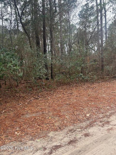 Tiny photo for 103 Dogwood Lane, Sneads Ferry, NC 28460 (MLS # 100552982)