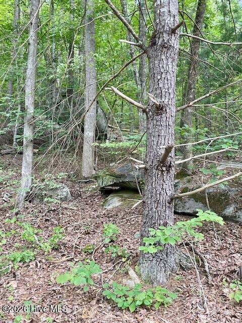 Vacant Land For Sale - 11 Lonesome Pine Road<br/> Murphy, NC 28906