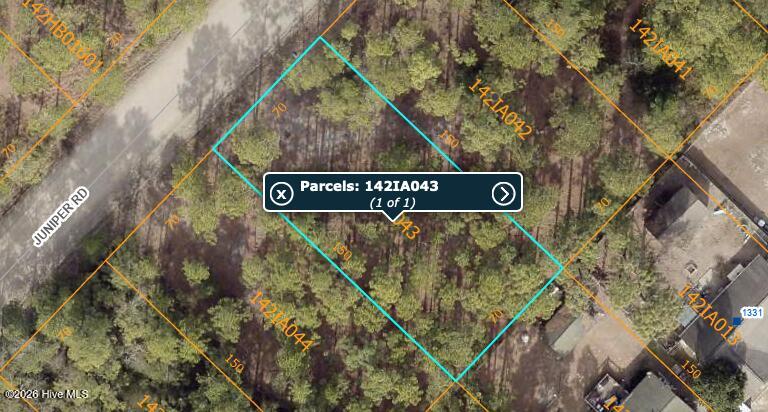 Photo of 46 Juniper Road, Boiling Spring Lakes, NC 28461 (MLS # 100597794)