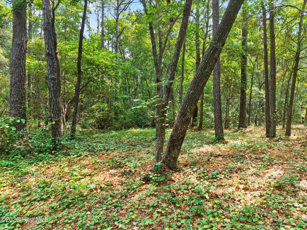 Photo of 3014 Valderama Way SE, Bolivia, NC 28422 (MLS # 100592450)