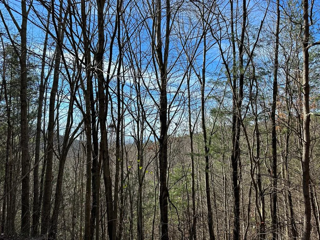 5 lots Ali Drive