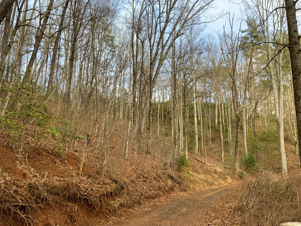 Photo of 10 Ivy Log Road, Murphy, NC 28906 (MLS # 98524951)
