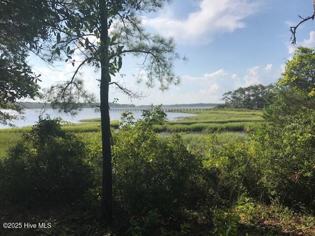 Photo of 3247 Mullet Creek Place SE, Bolivia, NC 28422 (MLS # 100507276)