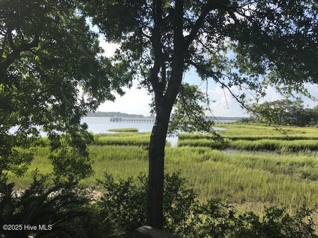 Photo of 3247 Mullet Creek Place SE, Bolivia, NC 28422 (MLS # 100507276)