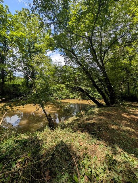 Vacant Land For Sale - 1.0 AC Old Highway 64 W<br/> Warne, NC 28909