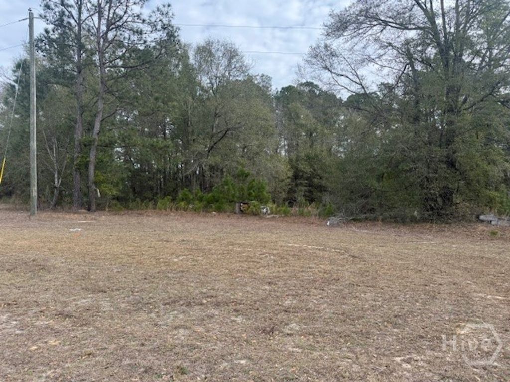 Photo of 287 Wallace Drive, Springfield, GA 31329 (MLS # SA349958)