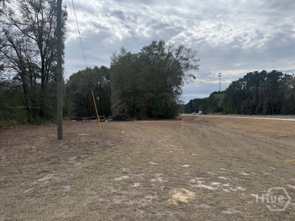 Photo of 287 Wallace Drive, Springfield, GA 31329 (MLS # SA349958)