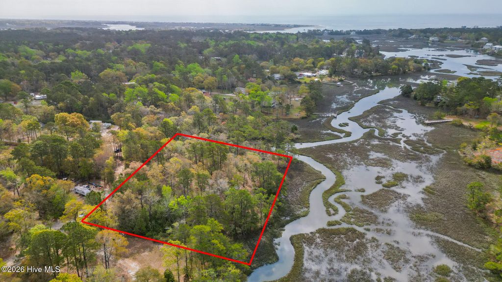 Photo of 4566 Tavia Lane SW, Shallotte, NC 28470 (MLS # 100564554)