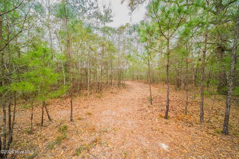 Tiny photo for 4566 Tavia Lane SW, Shallotte, NC 28470 (MLS # 100564554)