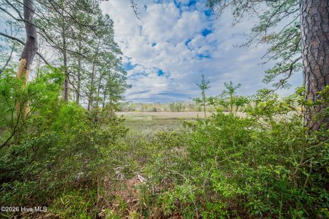 Tiny photo for 4566 Tavia Lane SW, Shallotte, NC 28470 (MLS # 100564554)