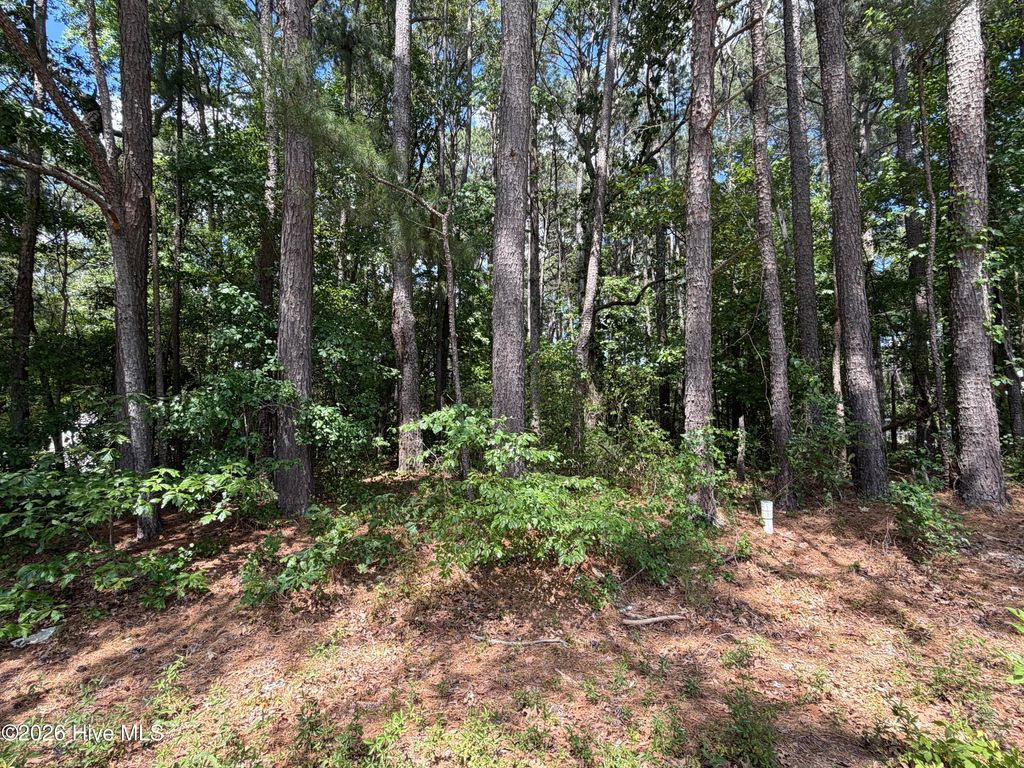 Photo of 306 Daniel Drive, Goldsboro, NC 27534 (MLS # 100576595)