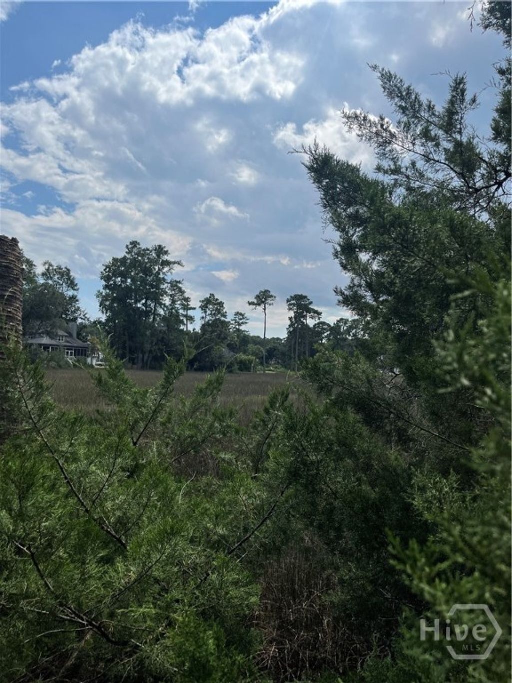 Photo of 0 Perry Cove, Savannah, GA 31410 (MLS # SA352079)