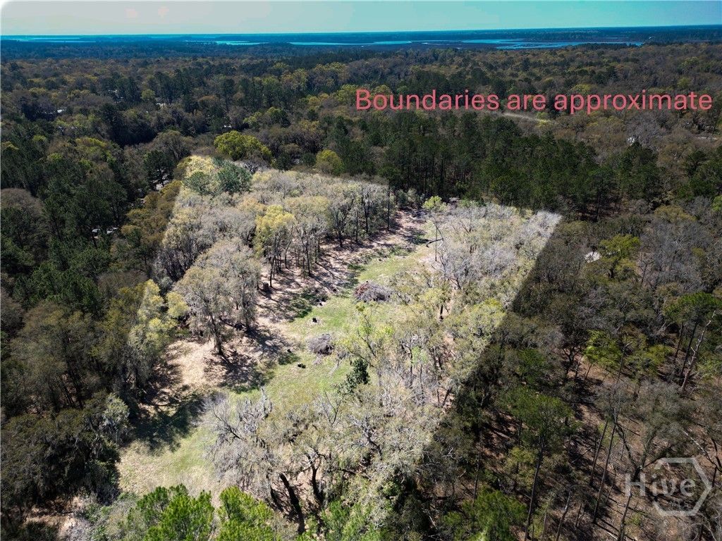 Photo of 2 Polite Lane, Midway, GA 31320 (MLS # SA355564)