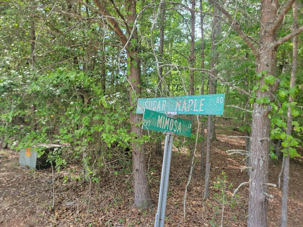 Photo of 44 Sugar Maple Road, Murphy, NC 28906 (MLS # 98544651)
