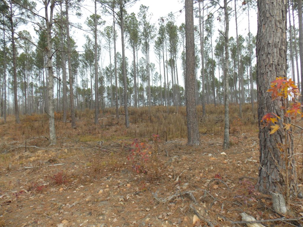 Photo of 4 E Mosley Rd, Lincolnton, GA 30817 (MLS # 550354)