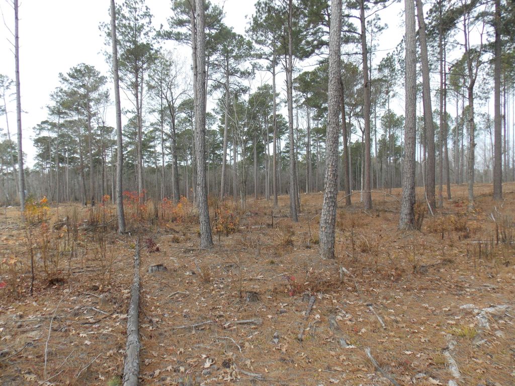 Photo of 4 E Mosley Rd, Lincolnton, GA 30817 (MLS # 550354)