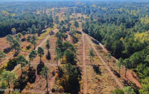 Vacant Land For Sale - W Magnolia-lisbon Road<br/> Rose Hill, NC 28458