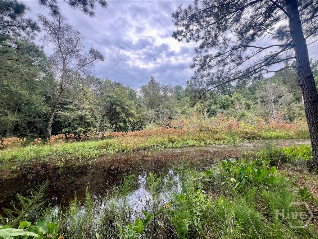 Photo of 0 McCarty Dodd Rd., Colbert, GA 30628 (MLS # CL344009)