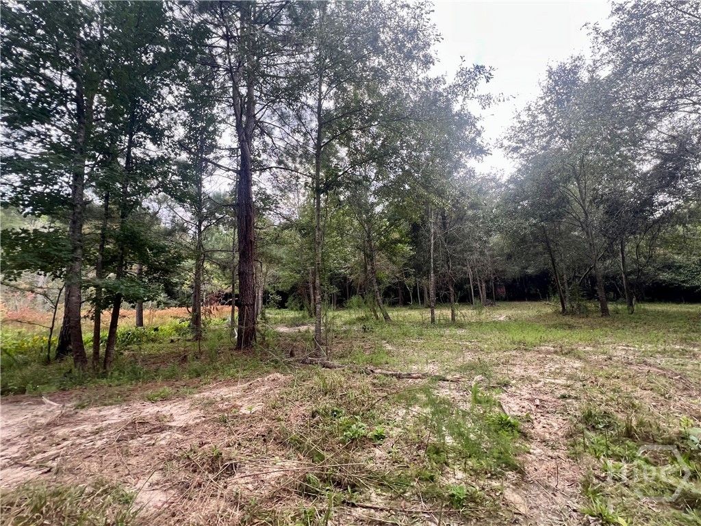 Photo of 0 McCarty Dodd Rd., Colbert, GA 30628 (MLS # CL344009)
